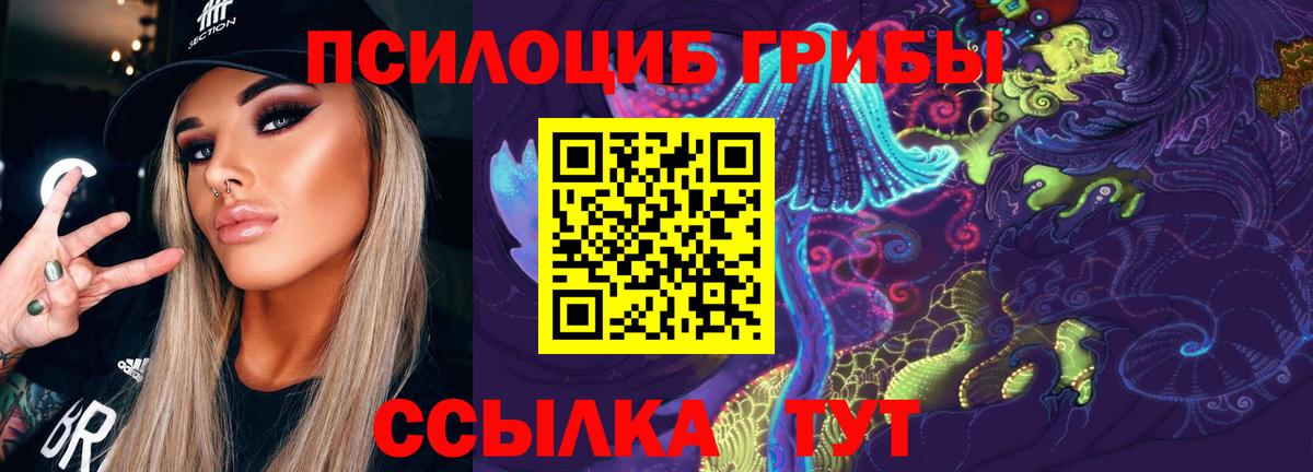 Мариинск  Псилоцибиновые грибы Psilocybe  Вход с VPN 